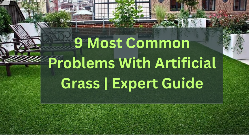 9 Most Common Problems With Artificial Grass | Expert Guide
